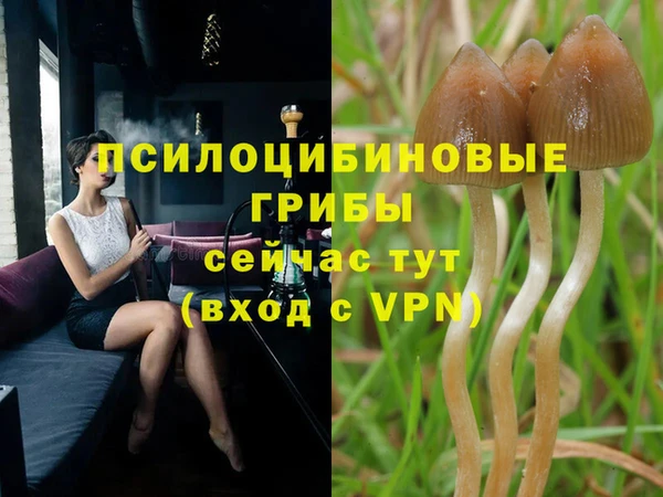 кокаин Алексин